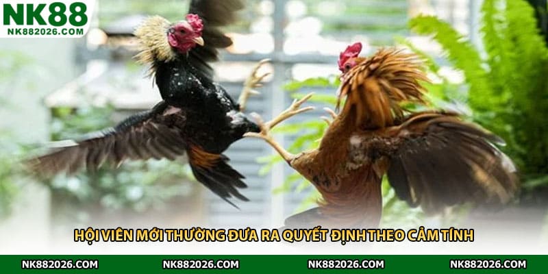 Hội viên mới thường đưa ra quyết định theo cảm tính 