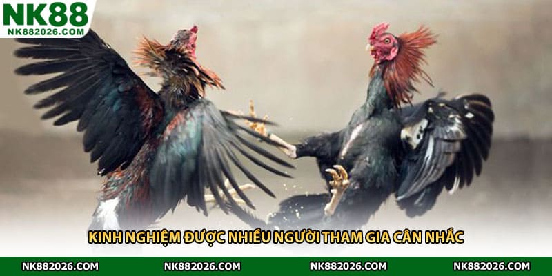 Kinh nghiệm được nhiều người tham gia cân nhắc