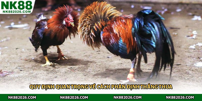 Quy định quan trọng về cách phân định thắng thua