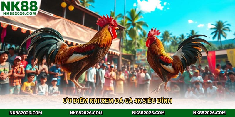 Ưu điểm khi xem đá gà 4K siêu đỉnh